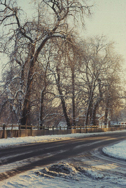 Mian Road and Langleys