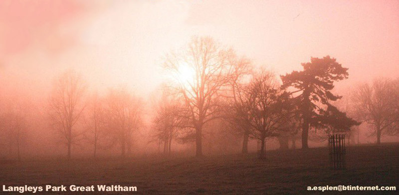 Foggy day Langleys Park